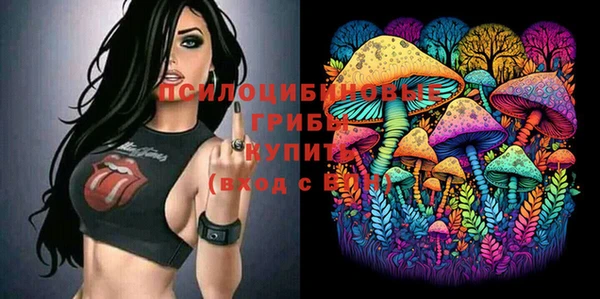 ГАЛЛЮЦИНОГЕННЫЕ ГРИБЫ Мегион