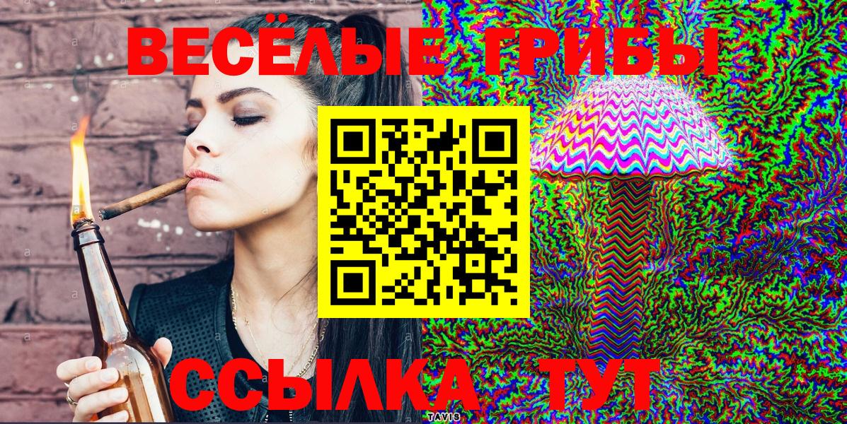 Псилоцибиновые грибы Cubensis Еманжелинск